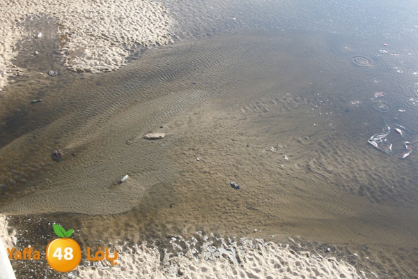 nakhom goldman majary (13).JPG